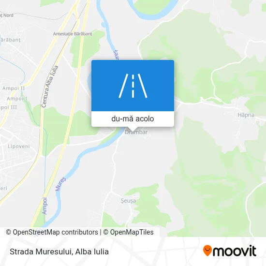 Hartă Strada Muresului