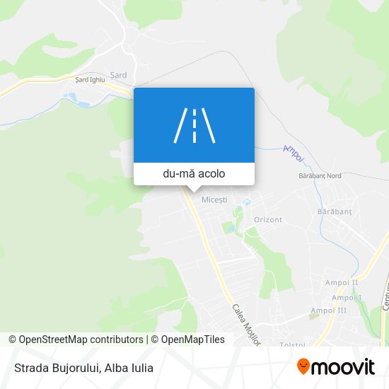 Hartă Strada Bujorului