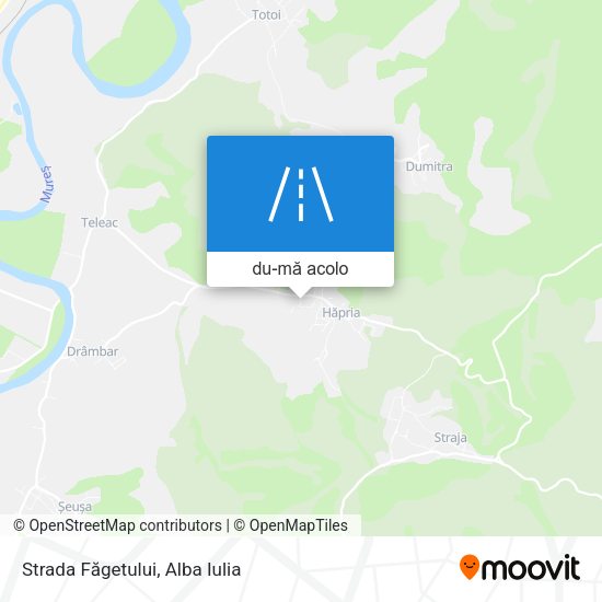 Hartă Strada Făgetului