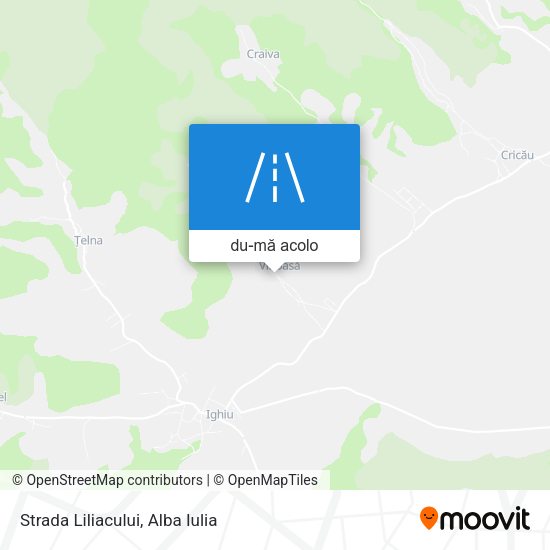 Hartă Strada Liliacului