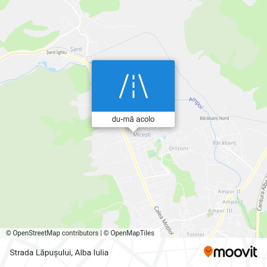 Hartă Strada Lăpușului