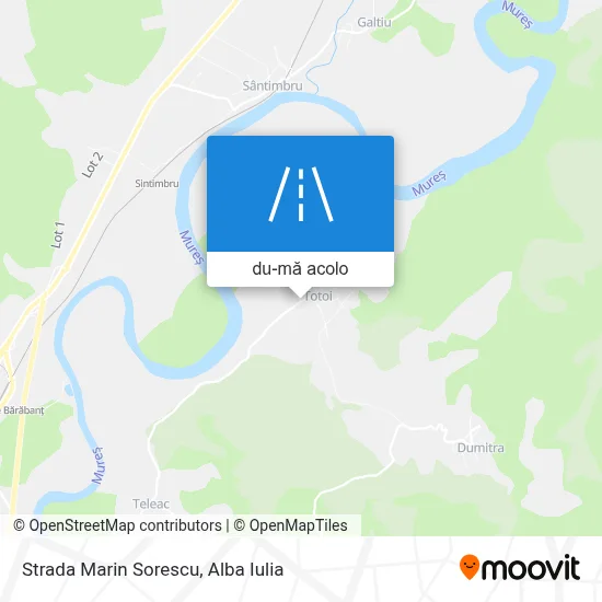Hartă Strada Marin Sorescu