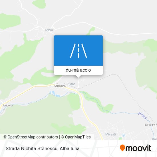 Hartă Strada Nichita Stănescu