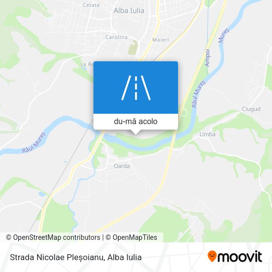 Hartă Strada Nicolae Pleșoianu