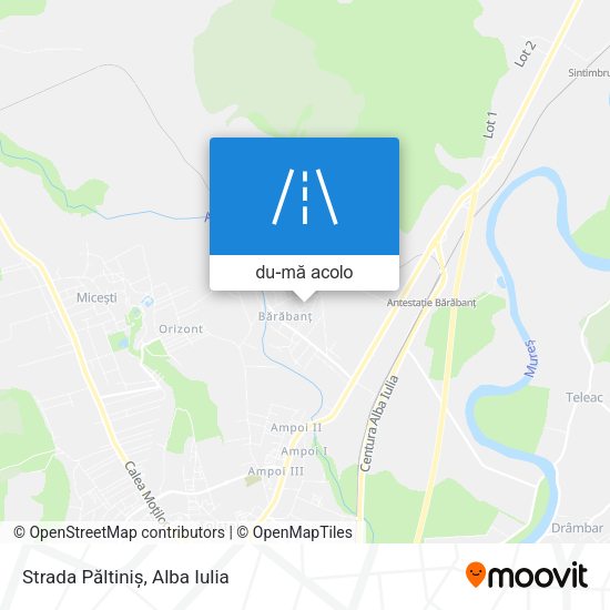 Hartă Strada Păltiniș