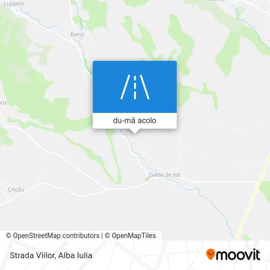 Hartă Strada Viilor