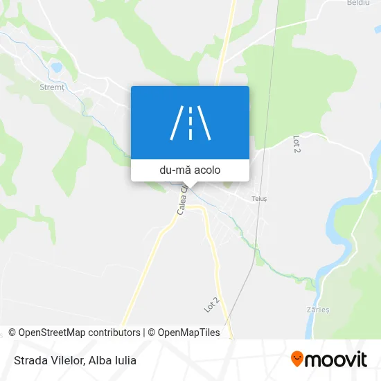 Hartă Strada Vilelor