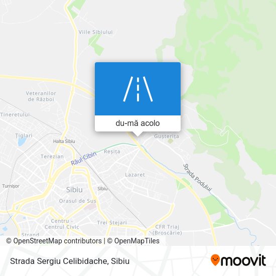 Hartă Strada Sergiu Celibidache