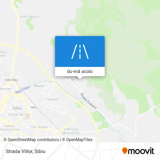 Hartă Strada Viilor