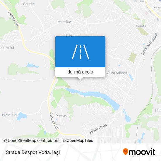 Hartă Strada Despot Vodă