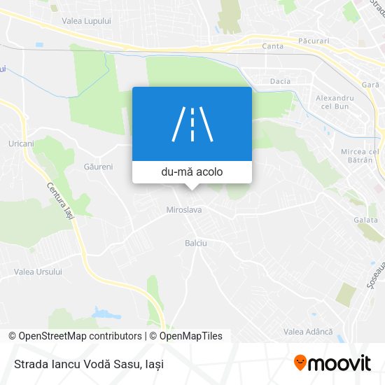 Hartă Strada Iancu Vodă Sasu