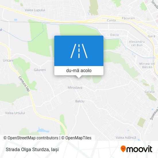 Hartă Strada Olga Sturdza