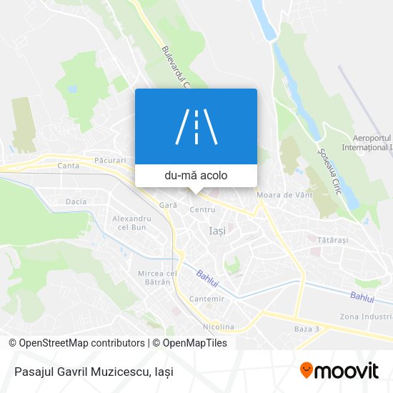 Hartă Pasajul Gavril Muzicescu