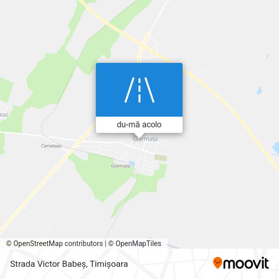 Hartă Strada Victor Babeș