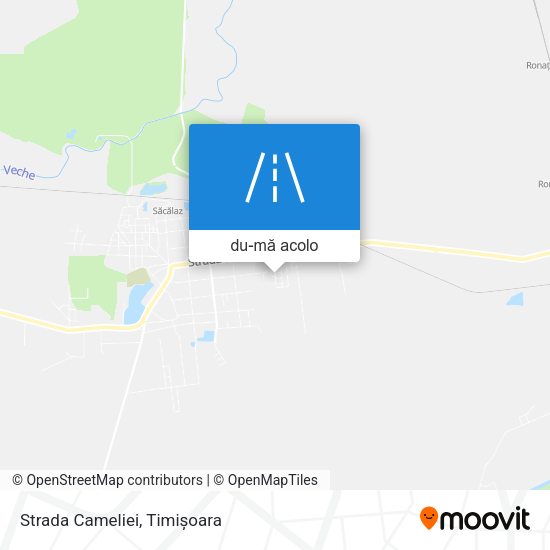 Hartă Strada Cameliei