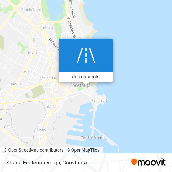 Hartă Strada Ecaterina Varga