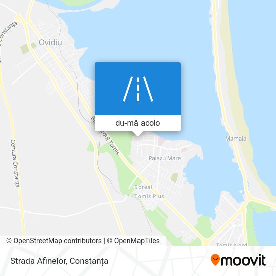 Hartă Strada Afinelor