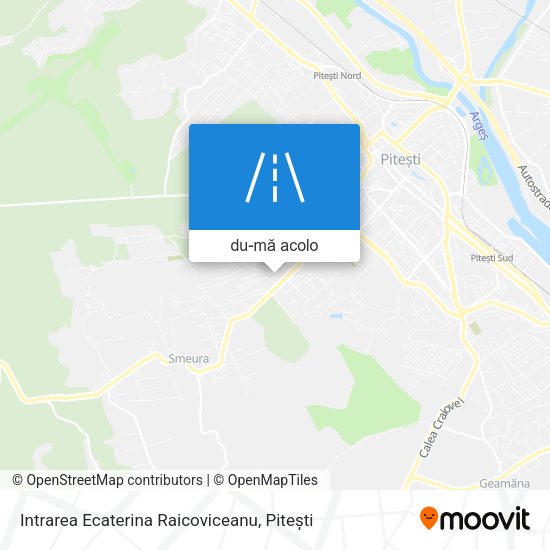 Hartă Intrarea Ecaterina Raicoviceanu