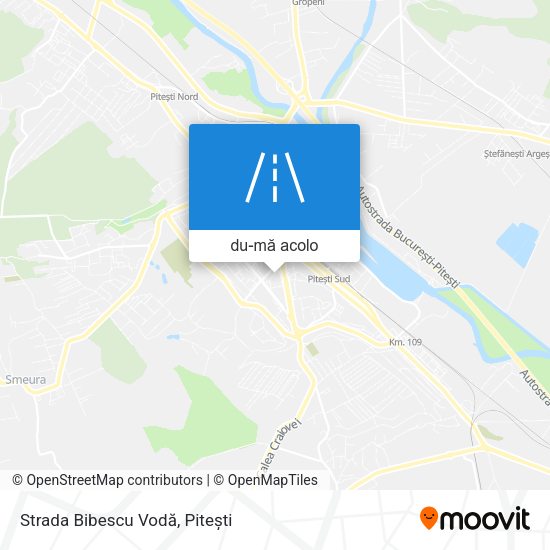 Hartă Strada Bibescu Vodă