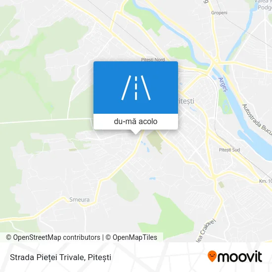 Hartă Strada Pieței Trivale