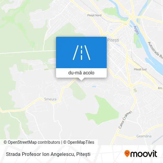 Hartă Strada Profesor Ion Angelescu