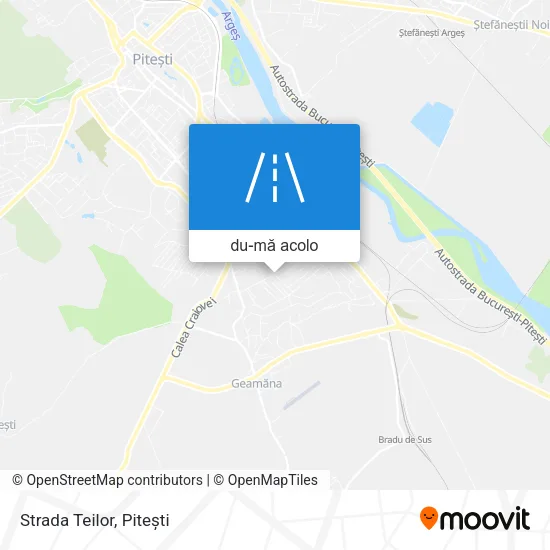 Hartă Strada Teilor