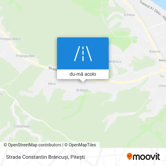 Hartă Strada Constantin Brâncuși
