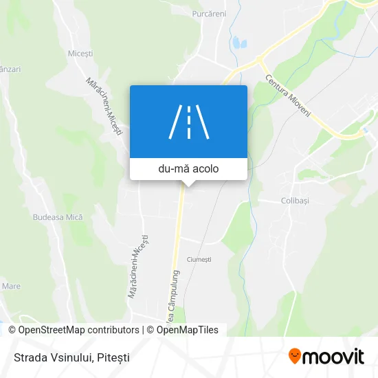 Hartă Strada Vsinului