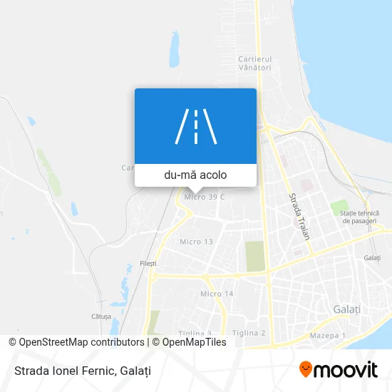 Hartă Strada Ionel Fernic