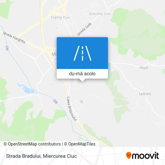 Hartă Strada Bradului