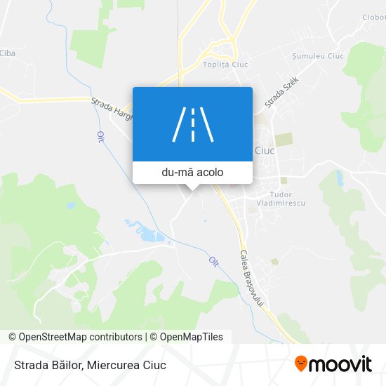 Hartă Strada Băilor