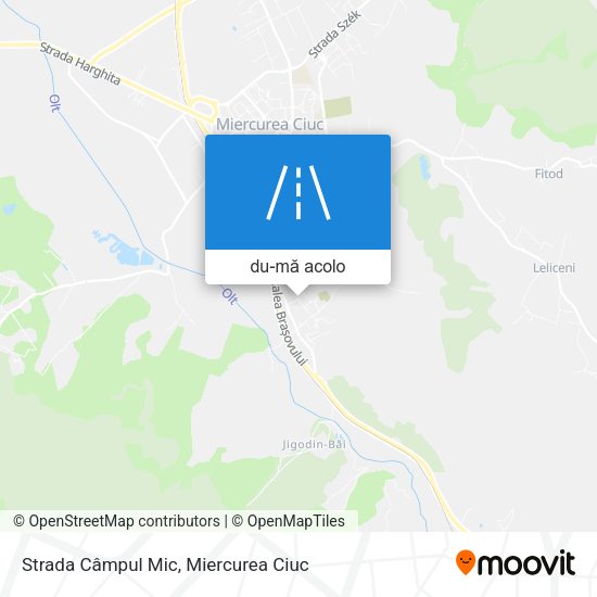 Hartă Strada Câmpul Mic