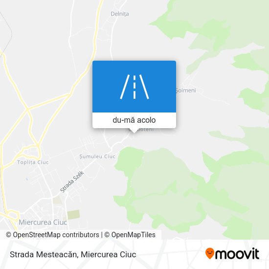 Hartă Strada Mesteacăn