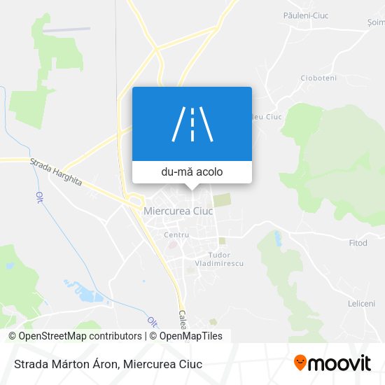 Hartă Strada Márton Áron