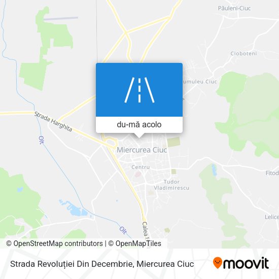 Hartă Strada Revoluției Din Decembrie