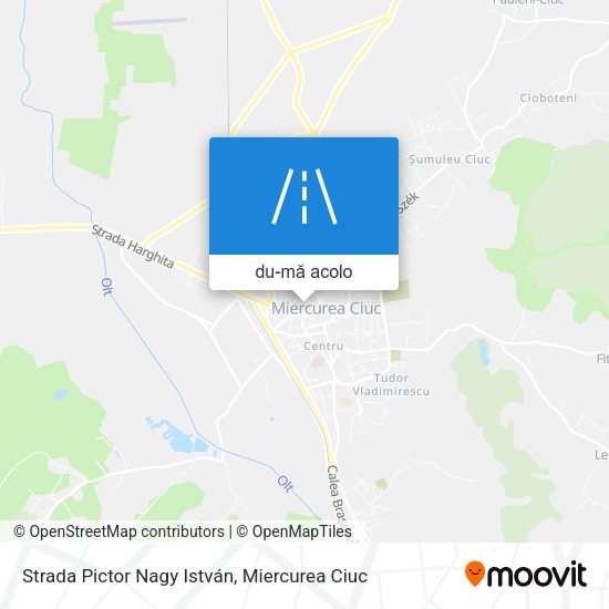 Hartă Strada Pictor Nagy István