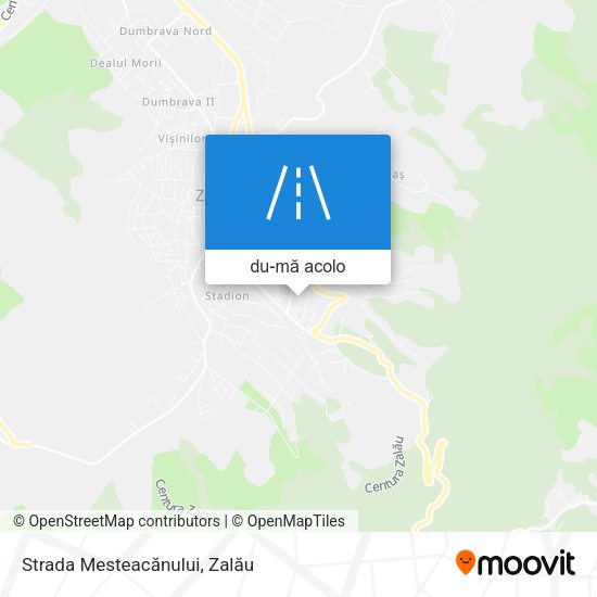 Hartă Strada Mesteacănului