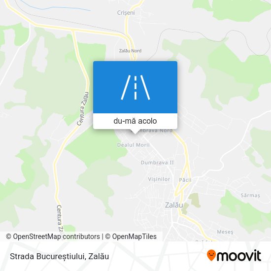Hartă Strada Bucureștiului