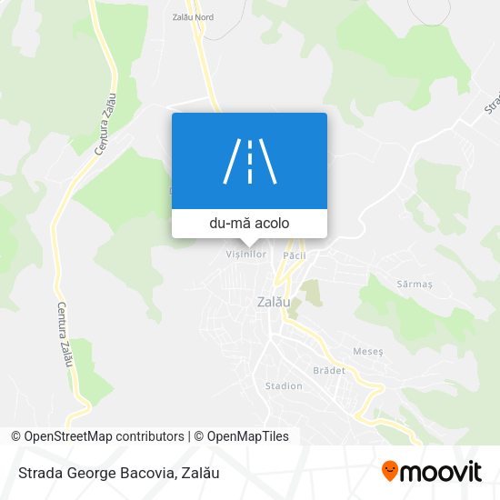 Hartă Strada George Bacovia