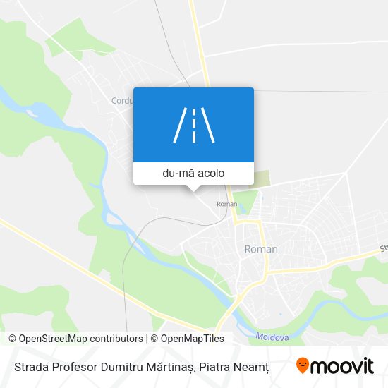 Hartă Strada Profesor Dumitru Mărtinaș