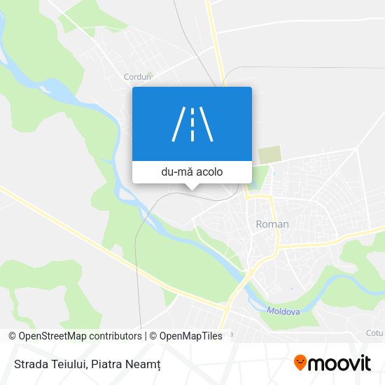 Hartă Strada Teiului