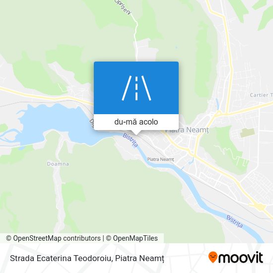 Hartă Strada Ecaterina Teodoroiu