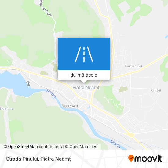 Hartă Strada Pinului