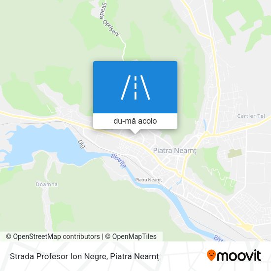 Hartă Strada Profesor Ion Negre