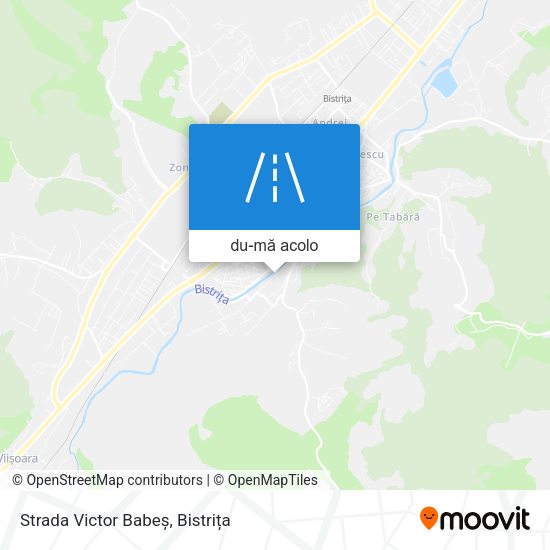 Hartă Strada Victor Babeș
