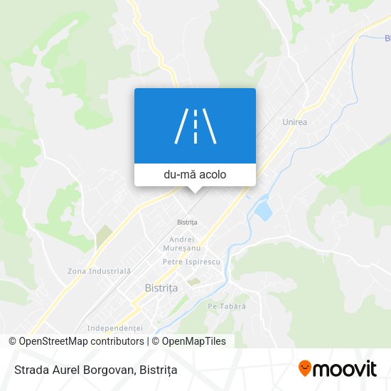 Hartă Strada Aurel Borgovan