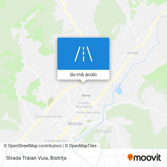 Hartă Strada Traian Vuia
