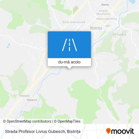 Hartă Strada Profesor Livius Gubesch
