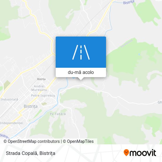 Hartă Strada Copală