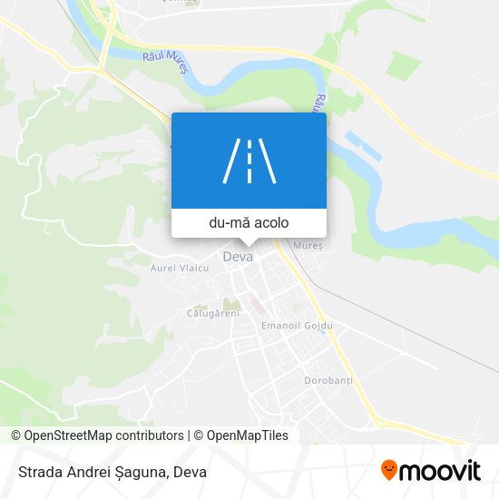 Hartă Strada Andrei Șaguna